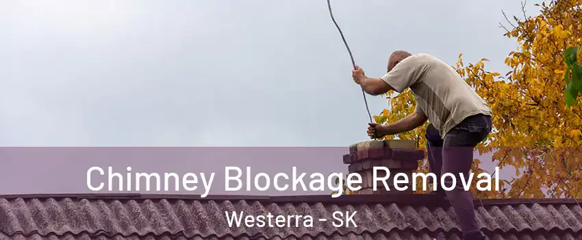  Chimney Blockage Removal Westerra - SK