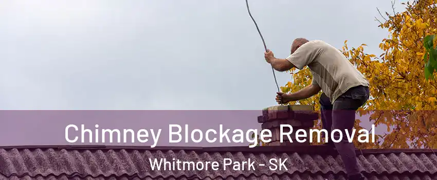  Chimney Blockage Removal Whitmore Park - SK