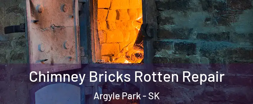  Chimney Bricks Rotten Repair Argyle Park - SK