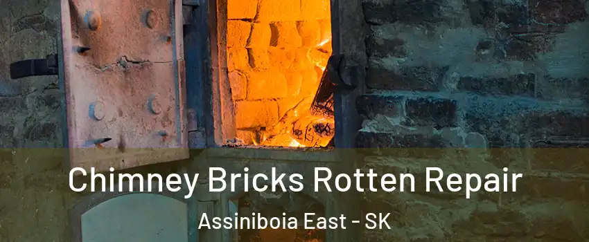  Chimney Bricks Rotten Repair Assiniboia East - SK