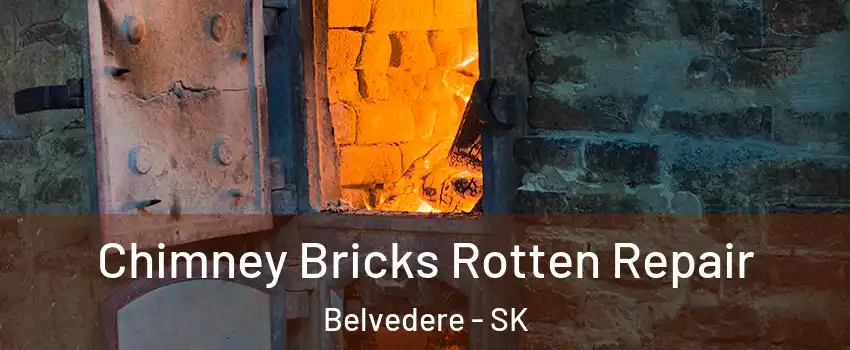  Chimney Bricks Rotten Repair Belvedere - SK