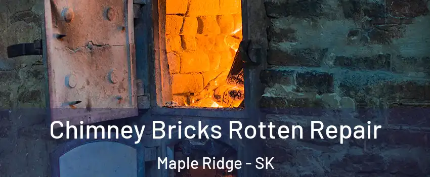  Chimney Bricks Rotten Repair Maple Ridge - SK