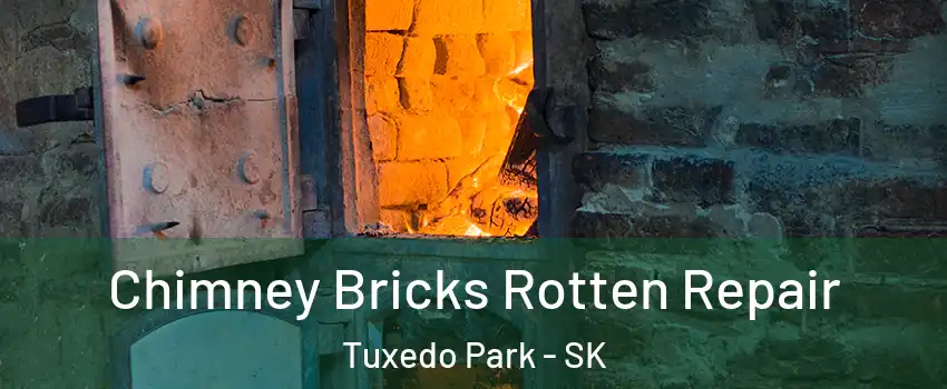  Chimney Bricks Rotten Repair Tuxedo Park - SK