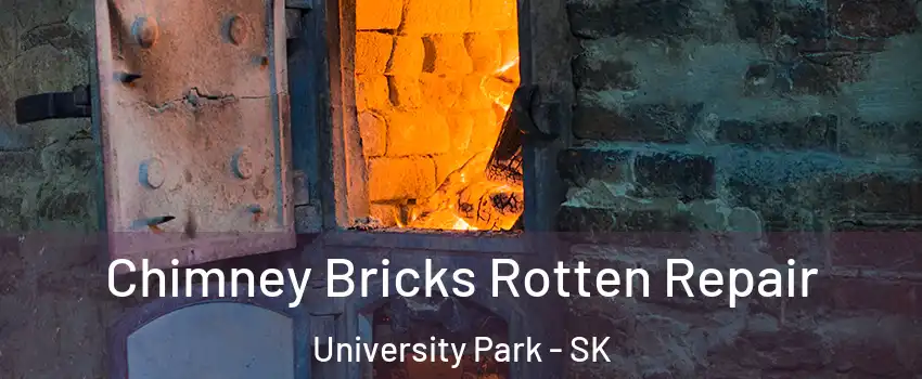  Chimney Bricks Rotten Repair University Park - SK