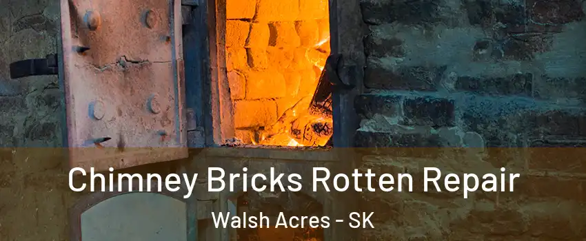  Chimney Bricks Rotten Repair Walsh Acres - SK