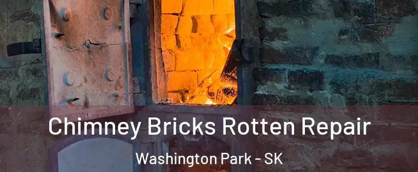  Chimney Bricks Rotten Repair Washington Park - SK