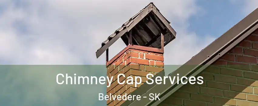  Chimney Cap Services Belvedere - SK