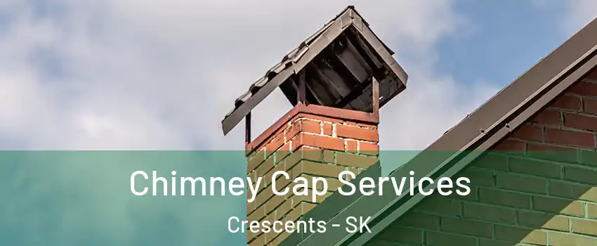  Chimney Cap Services Crescents - SK