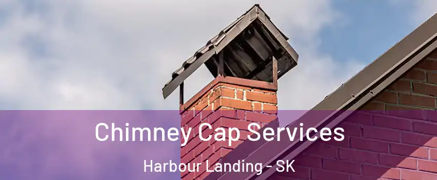  Chimney Cap Services Harbour Landing - SK