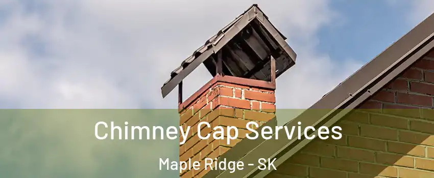  Chimney Cap Services Maple Ridge - SK