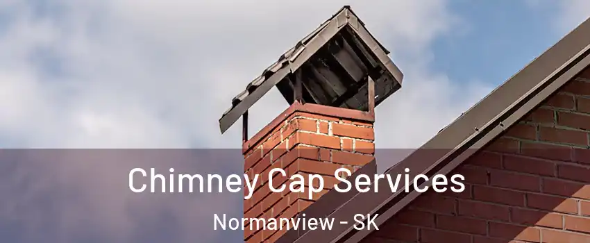  Chimney Cap Services Normanview - SK