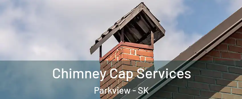  Chimney Cap Services Parkview - SK
