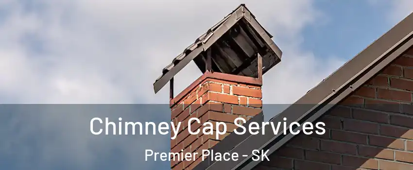  Chimney Cap Services Premier Place - SK
