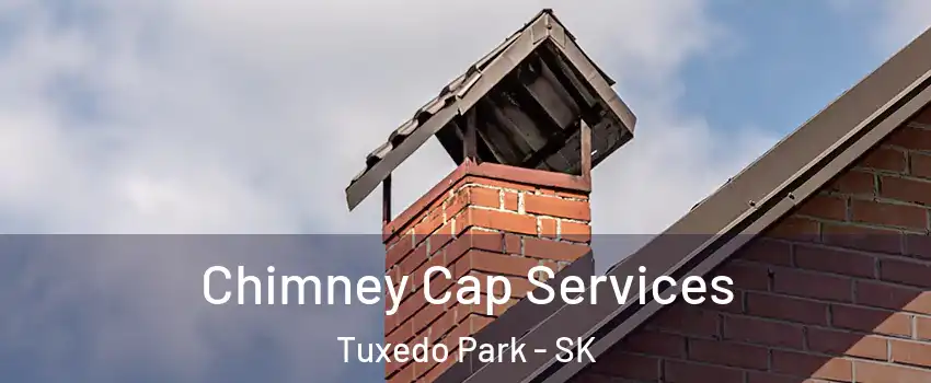  Chimney Cap Services Tuxedo Park - SK