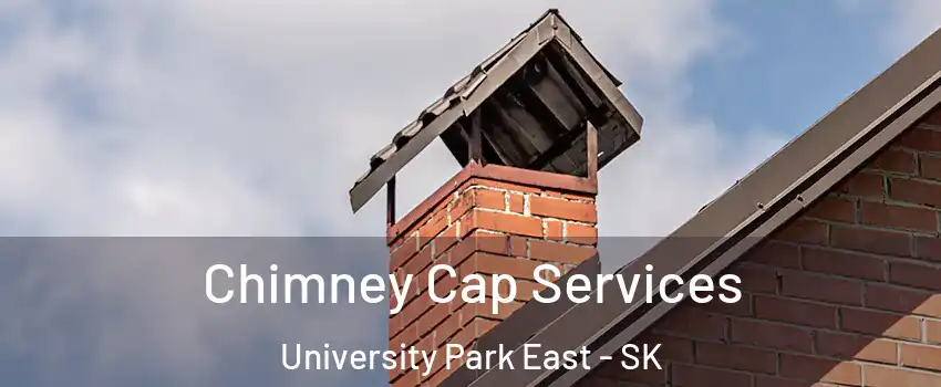  Chimney Cap Services University Park East - SK