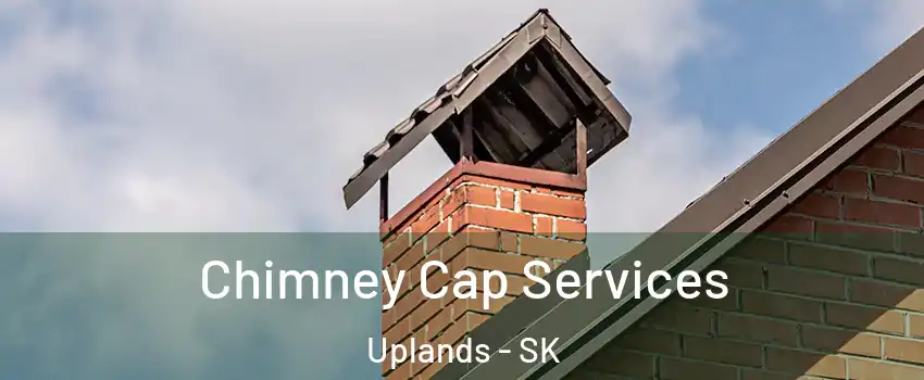  Chimney Cap Services Uplands - SK
