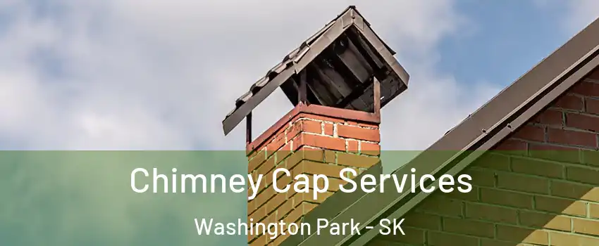  Chimney Cap Services Washington Park - SK