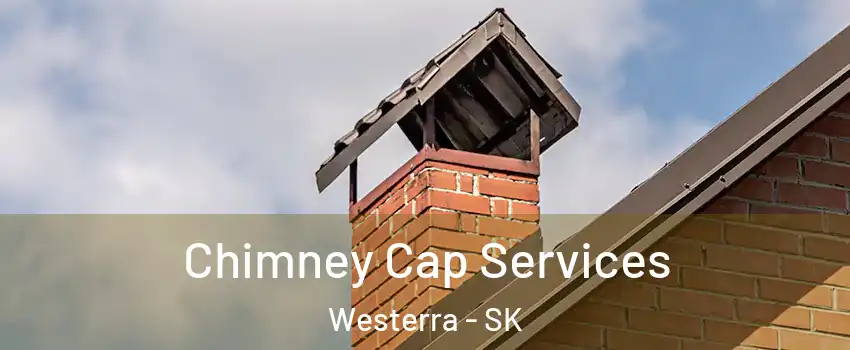  Chimney Cap Services Westerra - SK