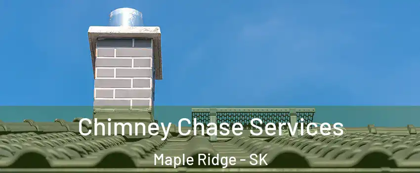  Chimney Chase Services Maple Ridge - SK
