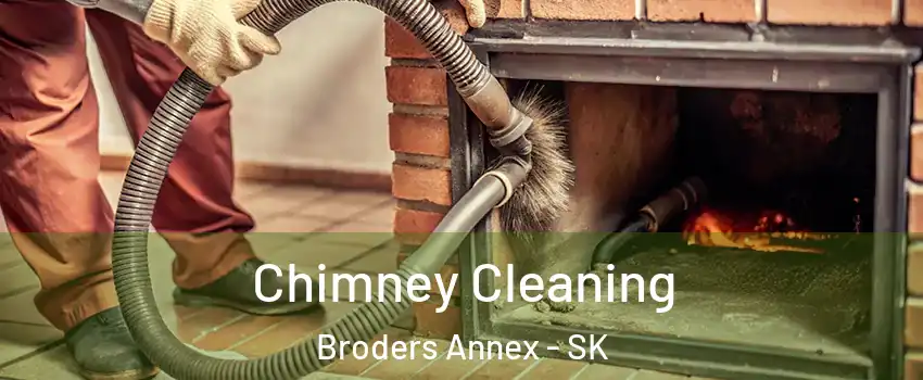  Chimney Cleaning Broders Annex - SK