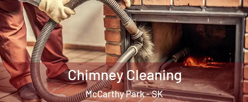  Chimney Cleaning McCarthy Park - SK