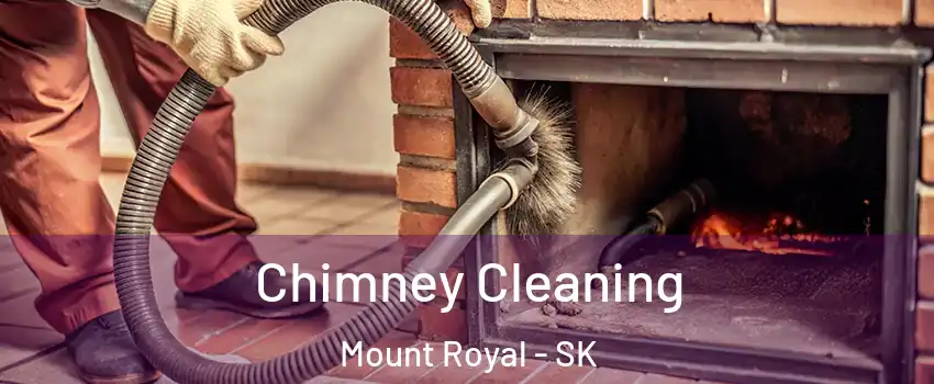  Chimney Cleaning Mount Royal - SK