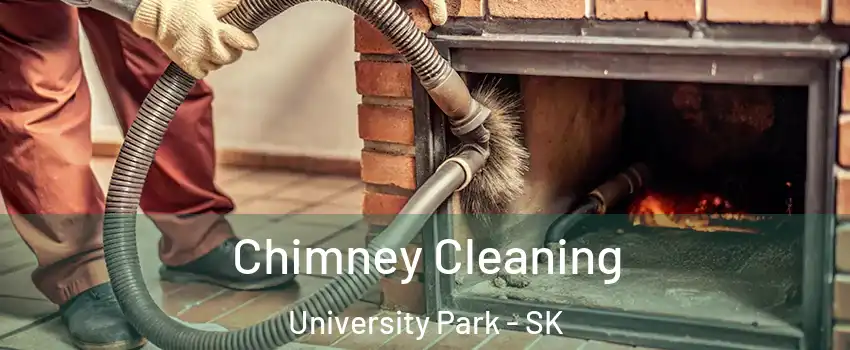  Chimney Cleaning University Park - SK