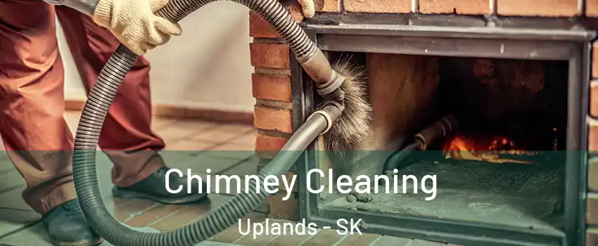  Chimney Cleaning Uplands - SK