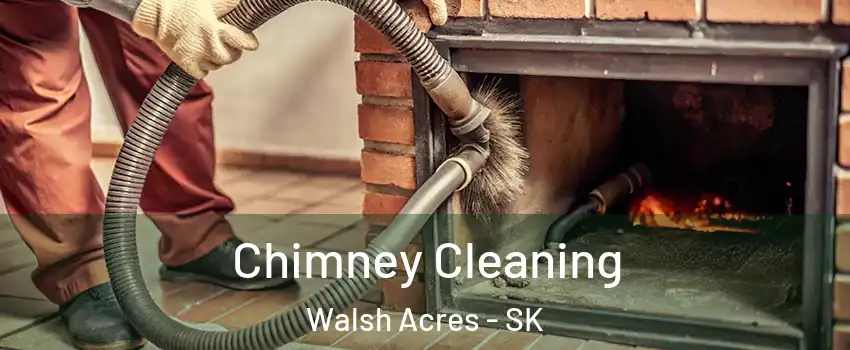  Chimney Cleaning Walsh Acres - SK