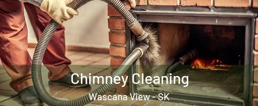  Chimney Cleaning Wascana View - SK
