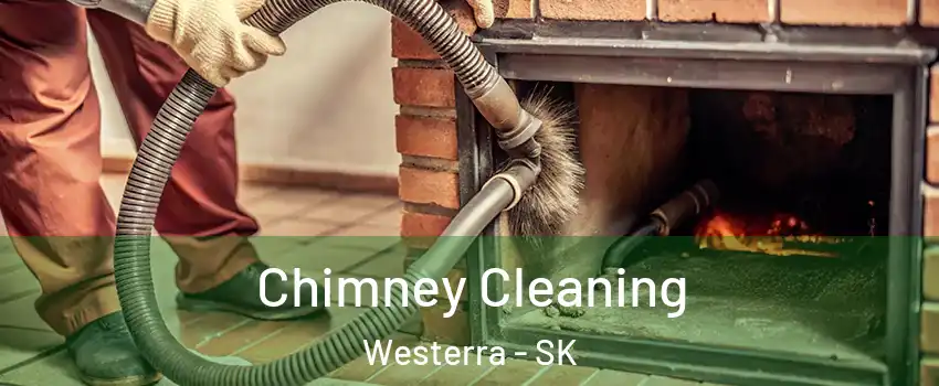  Chimney Cleaning Westerra - SK