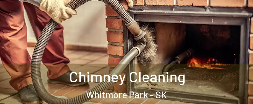  Chimney Cleaning Whitmore Park - SK