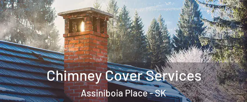  Chimney Cover Services Assiniboia Place - SK