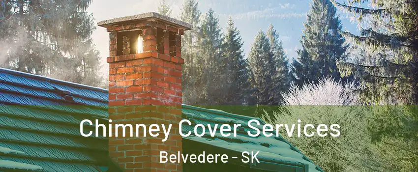  Chimney Cover Services Belvedere - SK