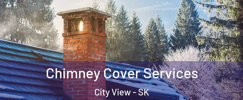  Chimney Cover Services City View - SK