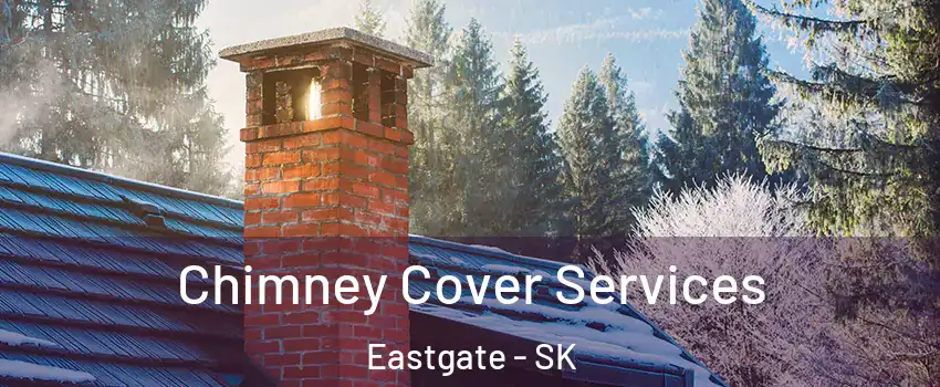  Chimney Cover Services Eastgate - SK