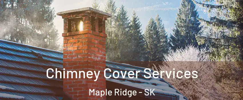  Chimney Cover Services Maple Ridge - SK