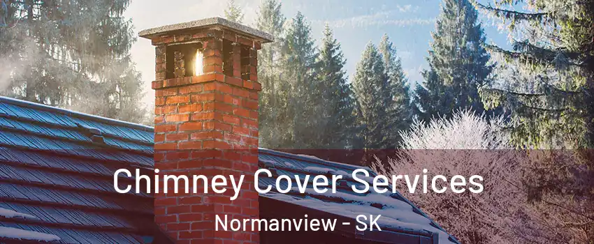  Chimney Cover Services Normanview - SK