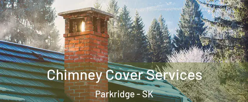  Chimney Cover Services Parkridge - SK