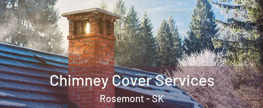  Chimney Cover Services Rosemont - SK