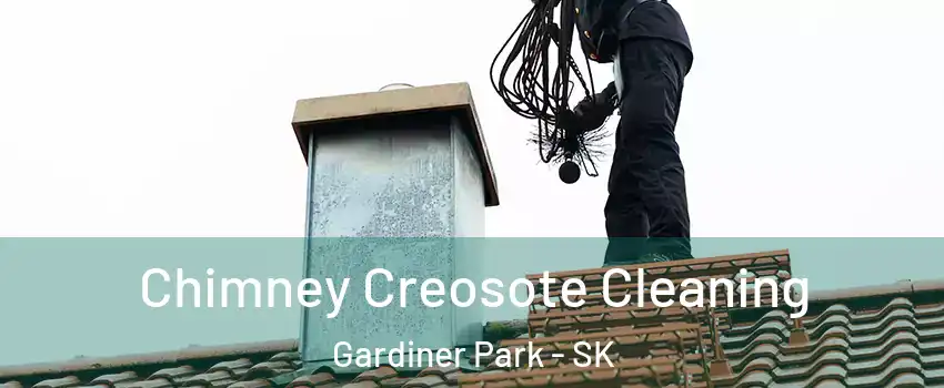  Chimney Creosote Cleaning Gardiner Park - SK