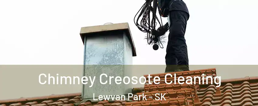  Chimney Creosote Cleaning Lewvan Park - SK