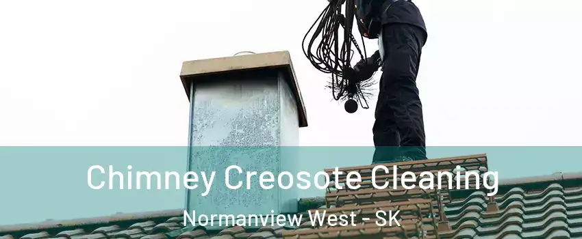  Chimney Creosote Cleaning Normanview West - SK