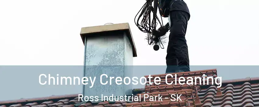  Chimney Creosote Cleaning Ross Industrial Park - SK