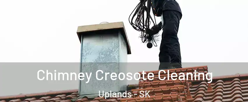  Chimney Creosote Cleaning Uplands - SK
