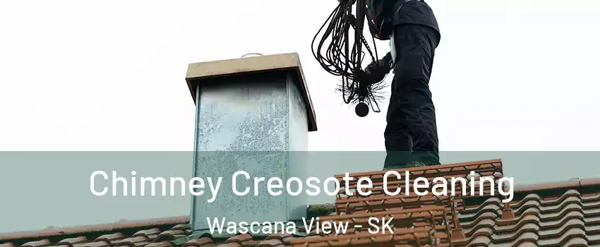  Chimney Creosote Cleaning Wascana View - SK