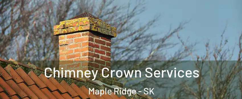  Chimney Crown Services Maple Ridge - SK