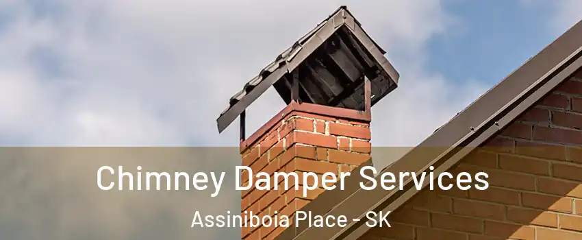  Chimney Damper Services Assiniboia Place - SK