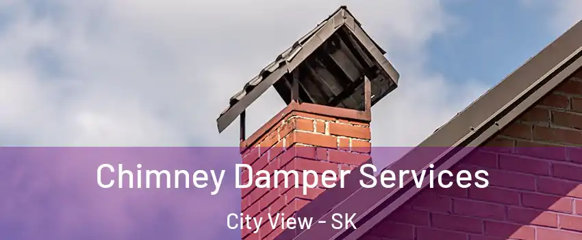  Chimney Damper Services City View - SK