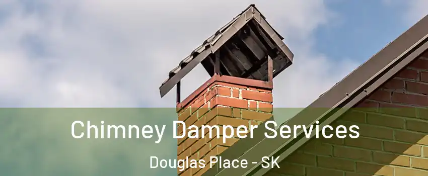  Chimney Damper Services Douglas Place - SK